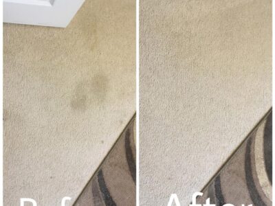 Before And After Carpet