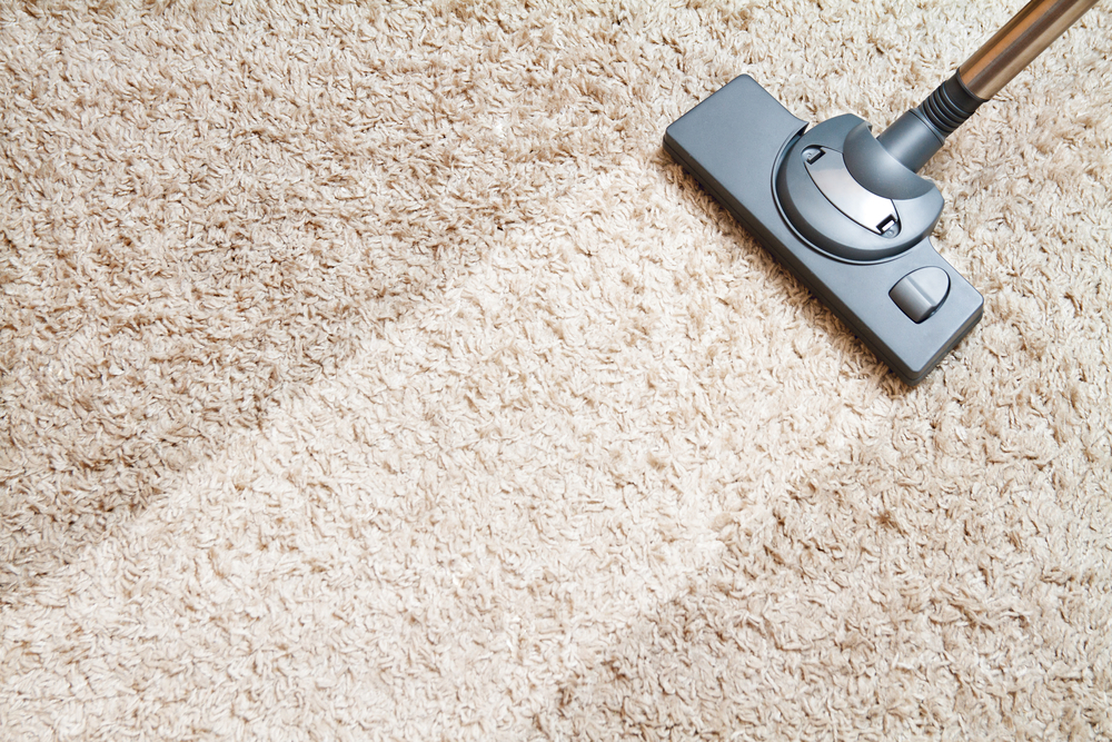 Carpet Cleaning In Loganville Ga Pressure Washing Service